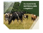 Adresat e stacioneve veterinare, në të cilat mund të bëni matrikullimin e bagëtive.