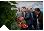 Mbështetje finaciare për fermerët e bashkuar